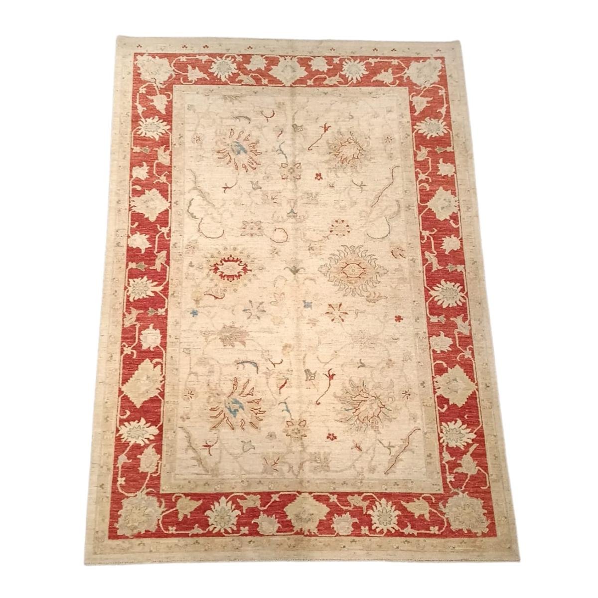 Afghan 104 Afghan 104