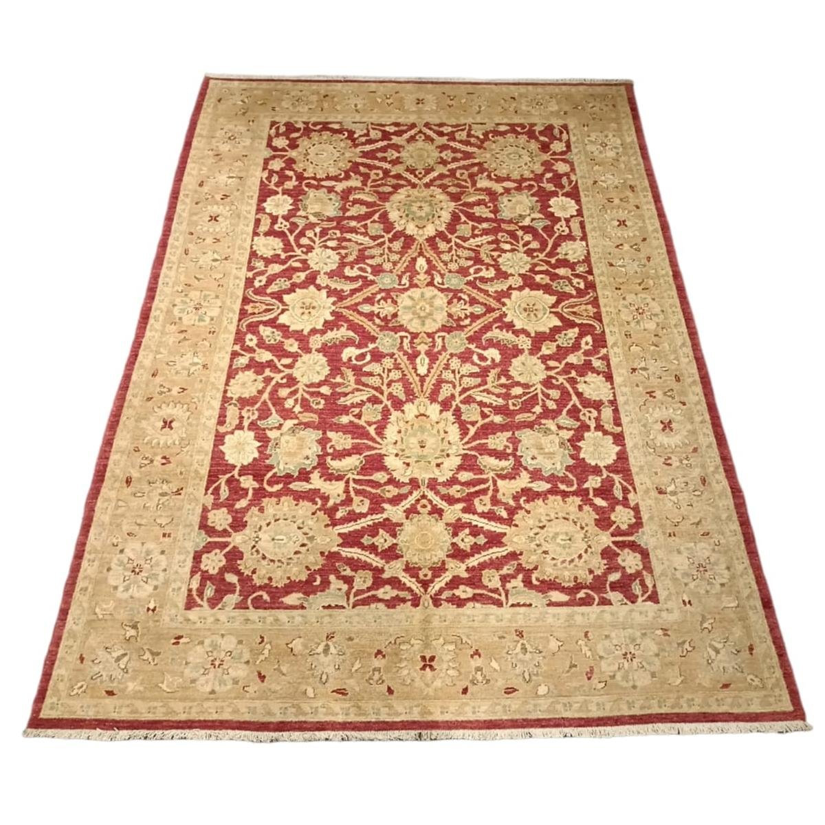 Afghan 116 Afghan 116