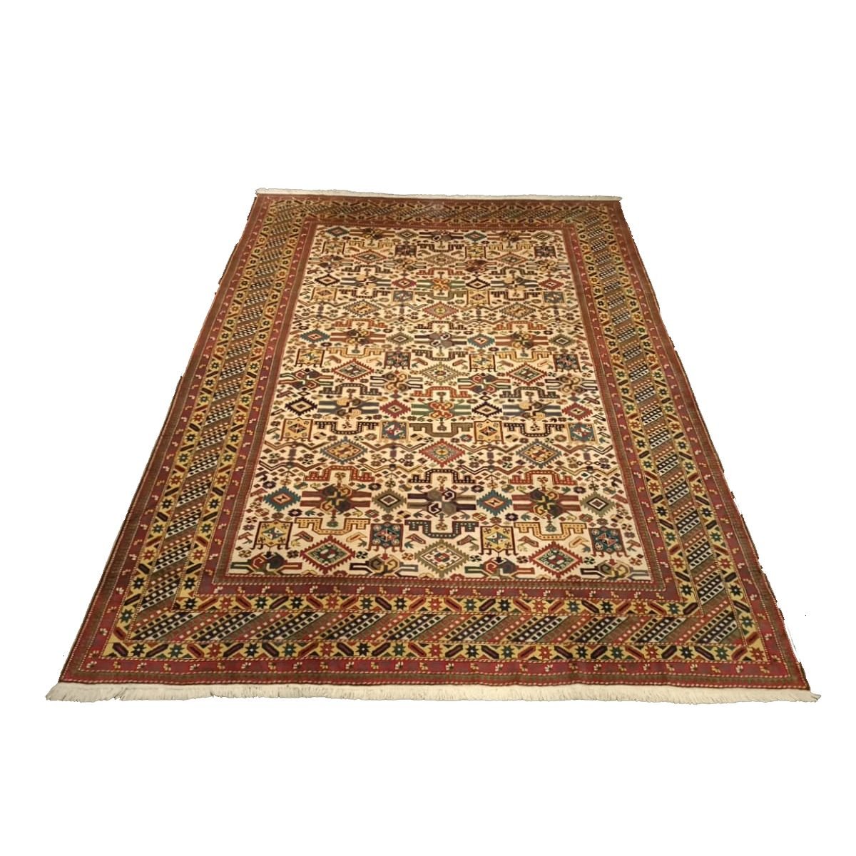 Caucasian CA5 Caucasian CA5